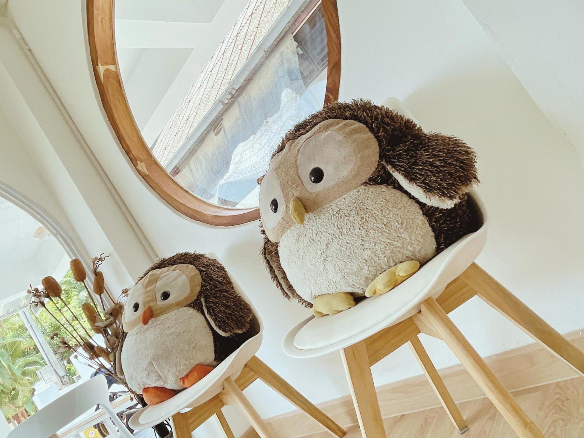 Cozy Owls Appartement Chiang Mai